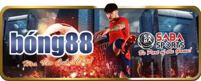 Hoàn trả hàng ngày/hàng tuần VA88 NỔ HŨ